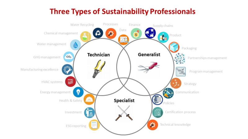 Sustainability professionals – who are they?
