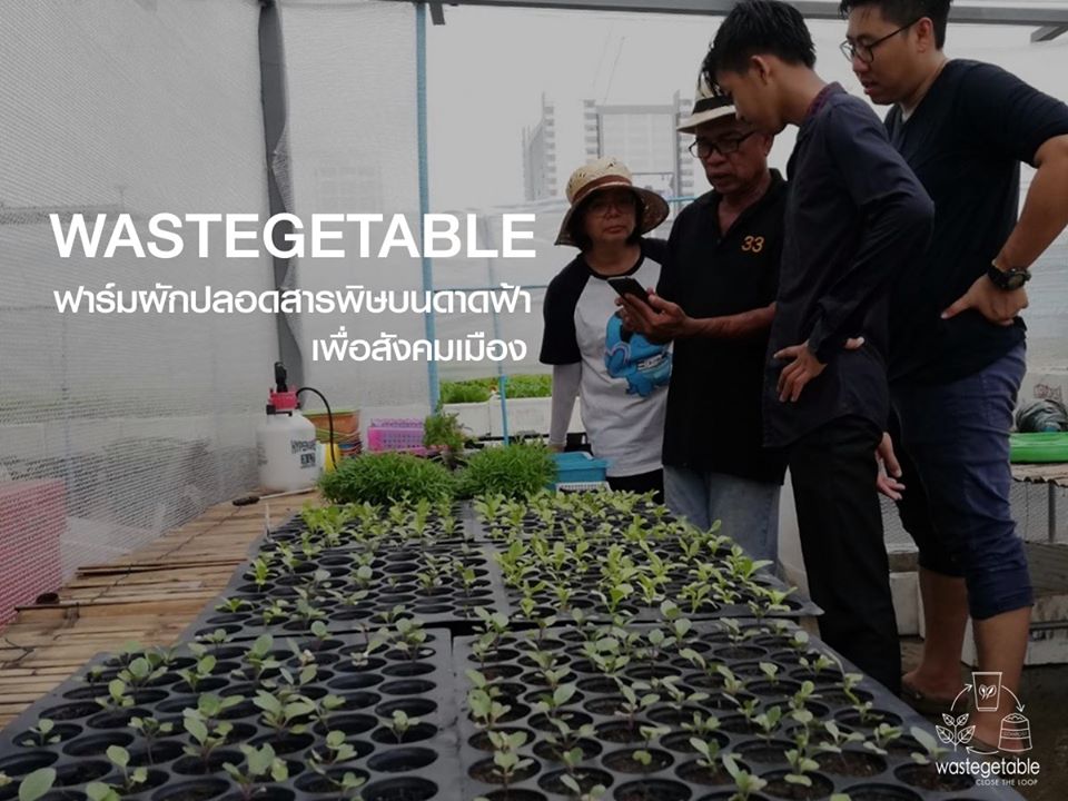 Wastegetable : A Solution for Rooftop Farming