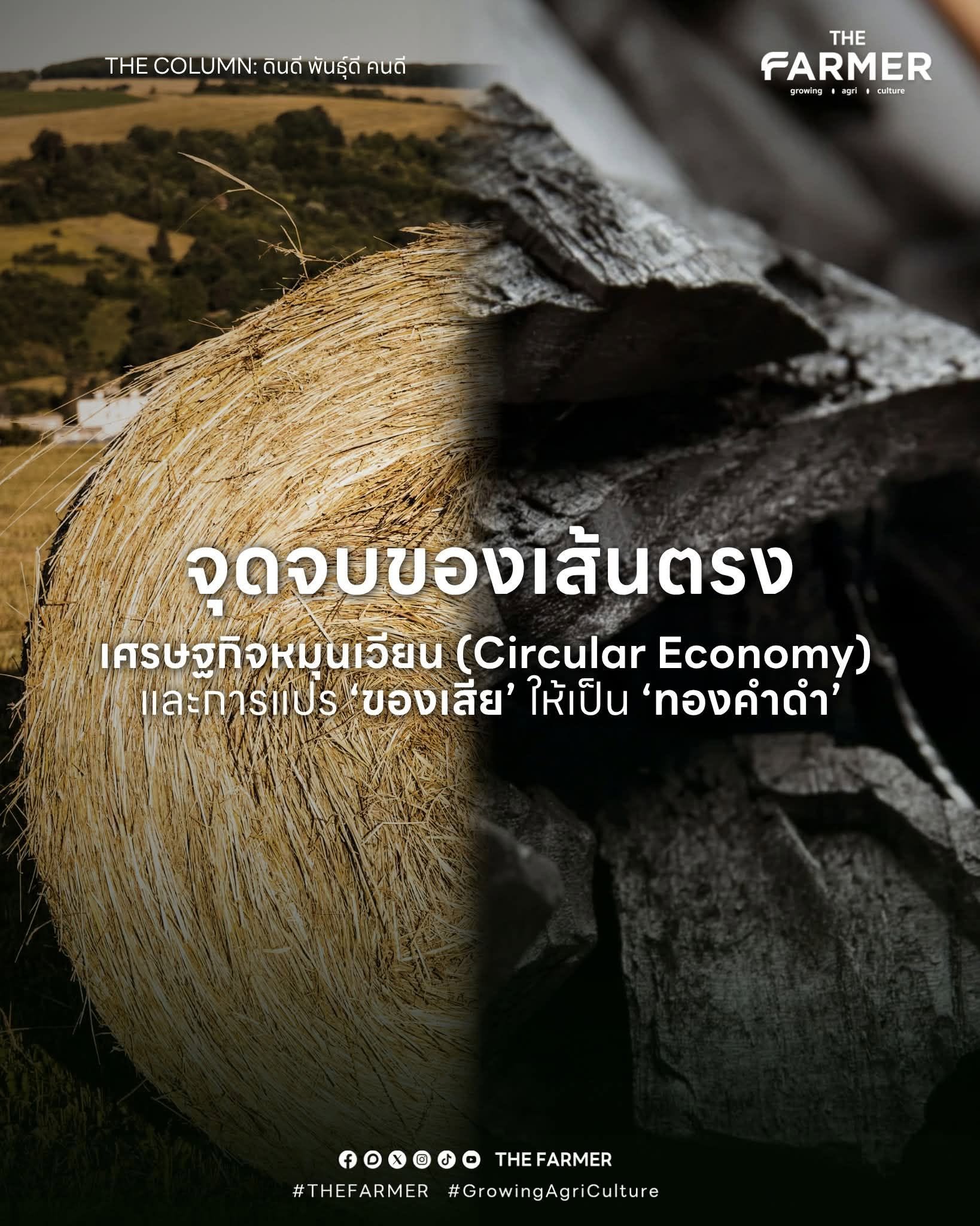 THE COLUMN: จุดจบของเส้นตรง เศรษฐกิจหมุนเวียน (Circular Economy) และการแปร ‘ของเสีย’ ให้เป็น ‘ทองคำดำ’ THE COLUMN: จุดจบของเส้นตรง เศรษฐกิจหมุนเวียน (Circular Economy) และการแปร ‘ของเสีย’ ให้เป็น ‘ทองคำดำ’
